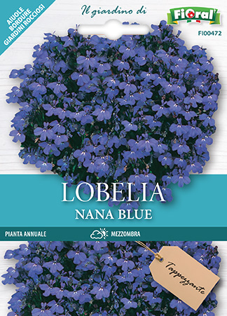 Immagine prodotto LOBELIA NANA BLUE