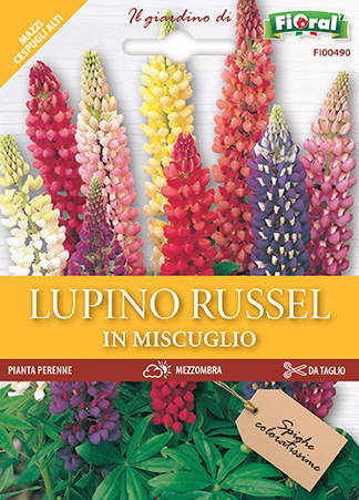 Immagine prodotto LUPINO RUSSEL In miscuglio