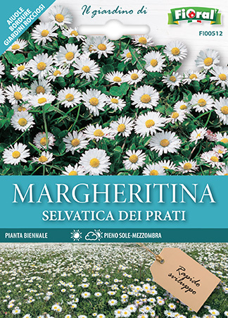 Immagine prodotto MARGHERITINA Selvatica dei prati