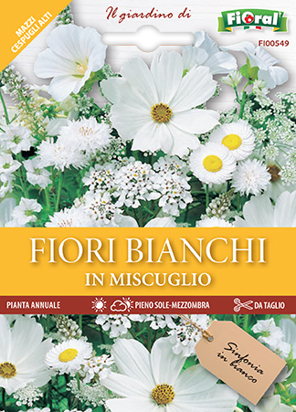 Immagine prodotto MISCUGLIO DI FIORI BIANCHI