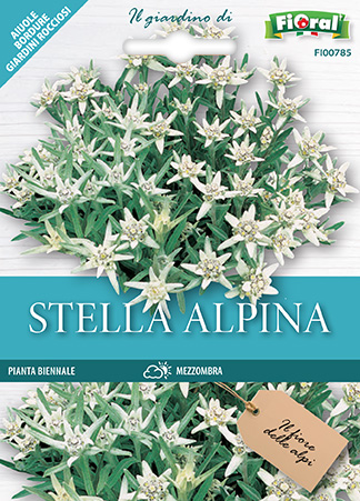 Immagine prodotto STELLA ALPINA