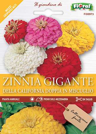 Immagine prodotto ZINNIA GIGANTE DELLA CALIFORNIA Doppia in miscuglio