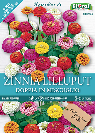 Immagine prodotto ZINNIA LILLIPUT Doppia in miscuglio