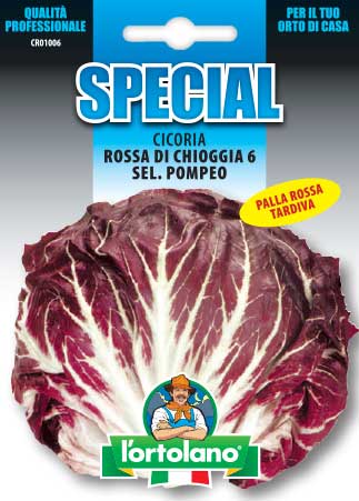 Immagine prodotto CICORIA Rossa di Chioggia 6 sel. Pompeo (Tardivo)