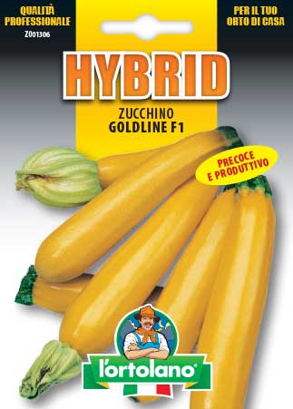 Immagine prodotto ZUCCHINO Goldline F1