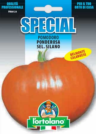 Immagine prodotto POMODORO Ponderosa sel. Silano (tipo Belmonte)