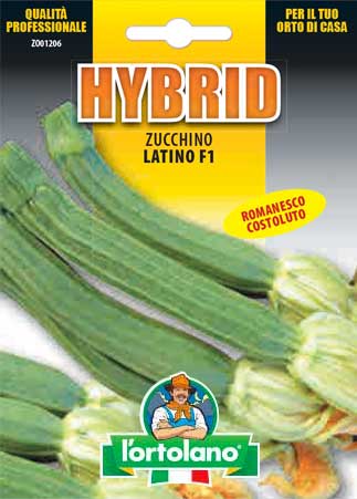 Immagine prodotto ZUCCHINO Latino F1