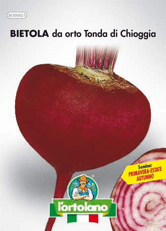 Immagine prodotto BIETOLA da orto Tonda di Chioggia