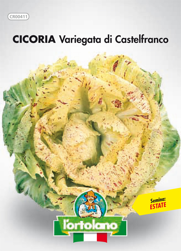 Immagine prodotto CICORIA Variegata di Castelfranco