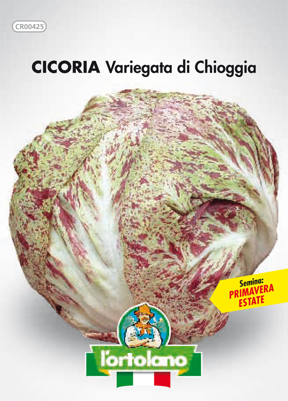 Immagine prodotto CICORIA Variegata di Chioggia