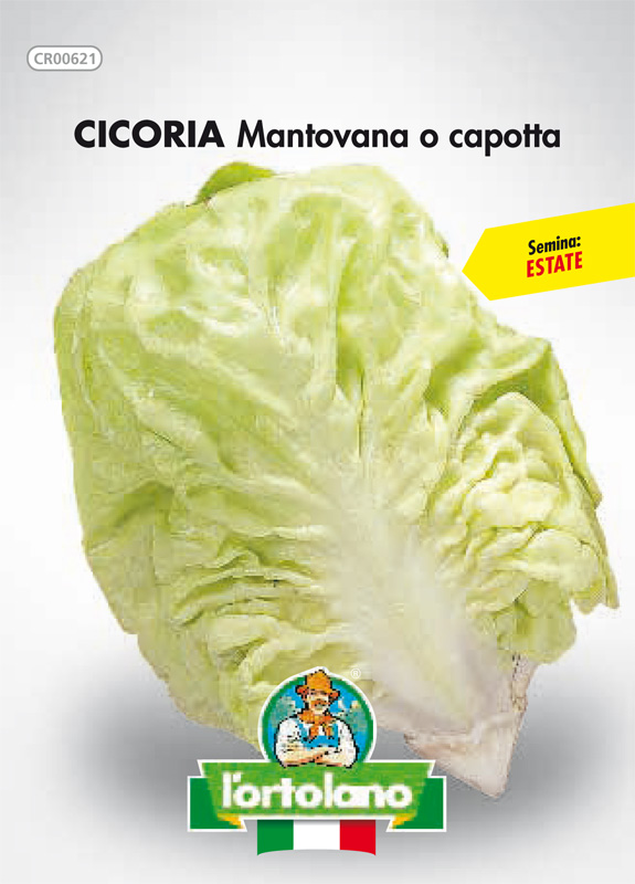 Immagine prodotto CICORIA Mantovana o capotta