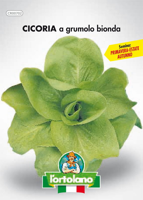 Immagine prodotto CICORIA a grumolo bionda