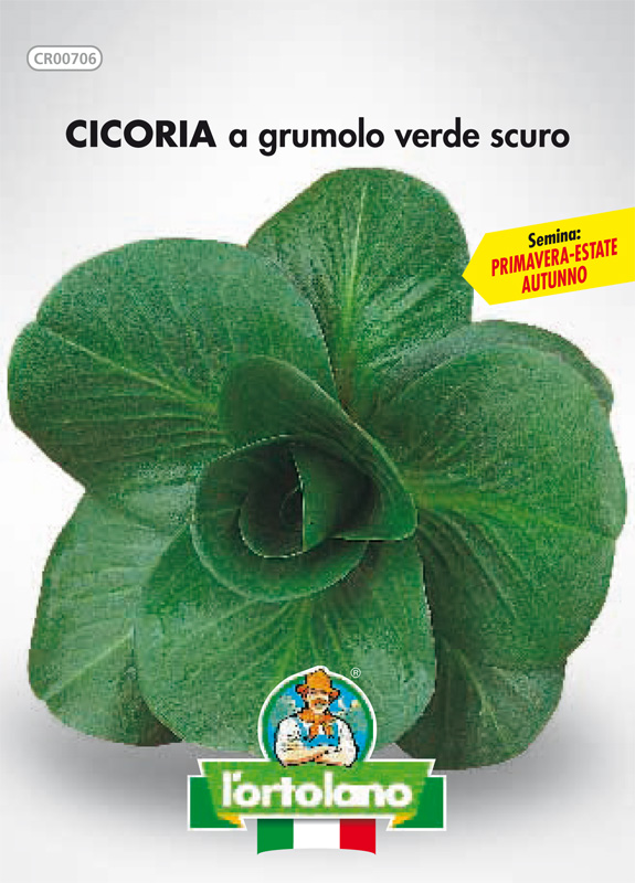 Immagine prodotto CICORIA a grumolo verde scuro