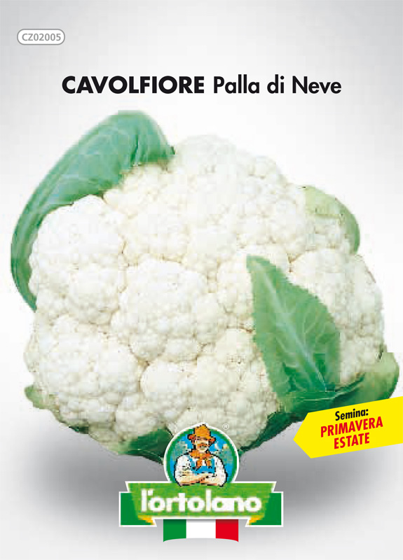 Immagine prodotto CAVOLFIORE Palla di Neve