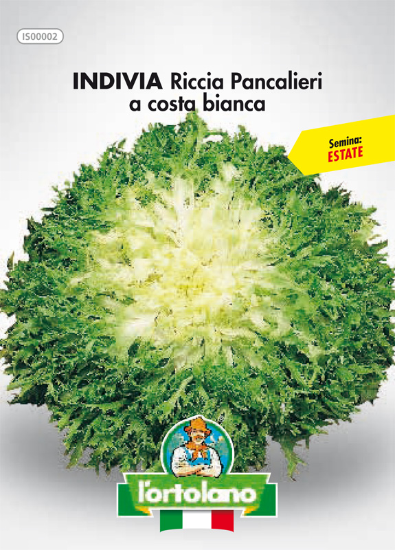 Immagine prodotto INDIVIA Riccia Pancalieri a costa bianca