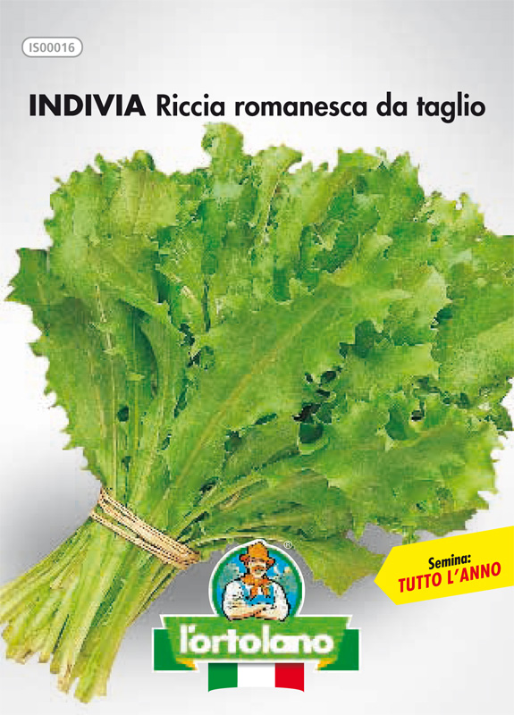 Immagine prodotto INDIVIA Riccia romanesca da taglio