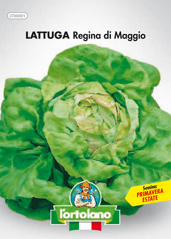 Immagine prodotto LATTUGA Regina di Maggio