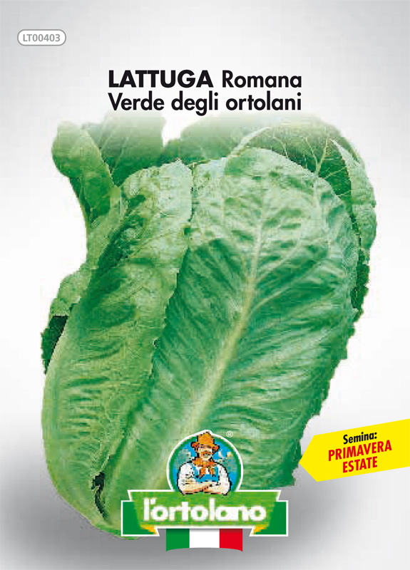 Immagine prodotto LATTUGA Verde degli ortolani