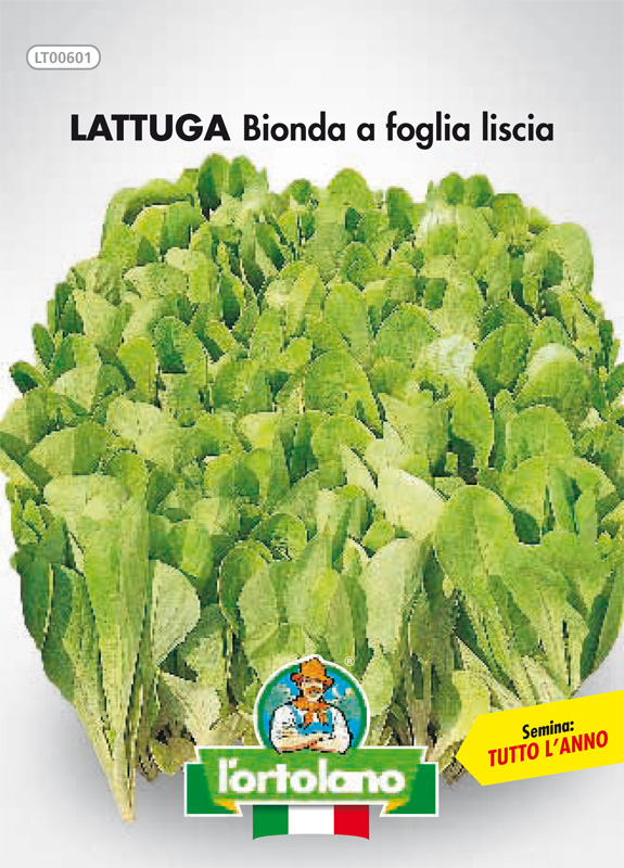 Immagine prodotto LATTUGA Bionda a foglia liscia