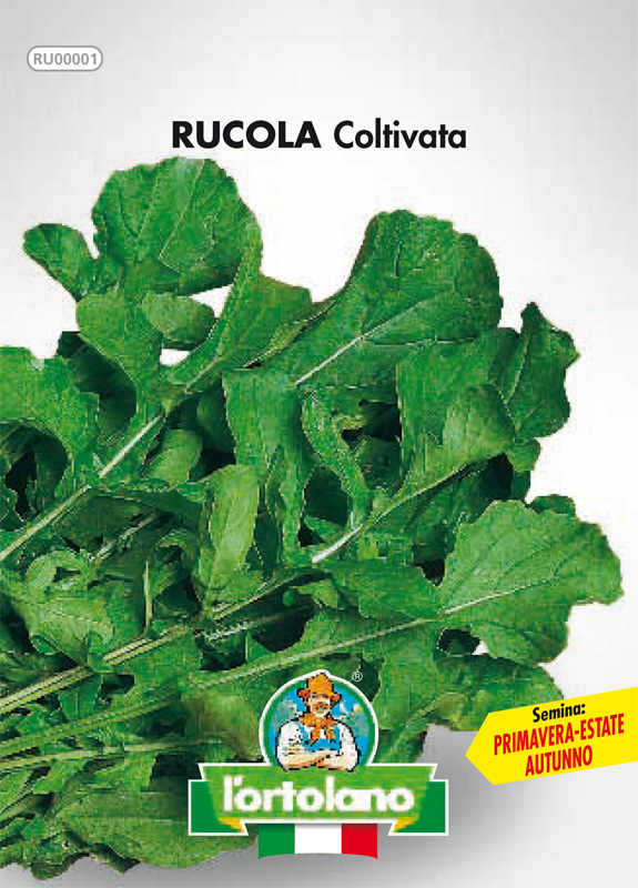 Immagine prodotto RUCOLA Coltivata