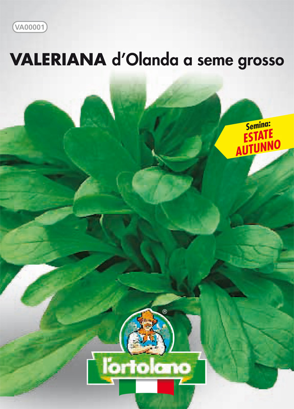 Immagine prodotto VALERIANA d’Olanda a seme grosso