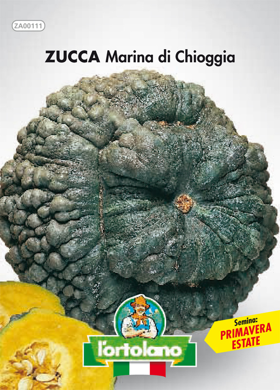 Immagine prodotto ZUCCA Marina di Chioggia