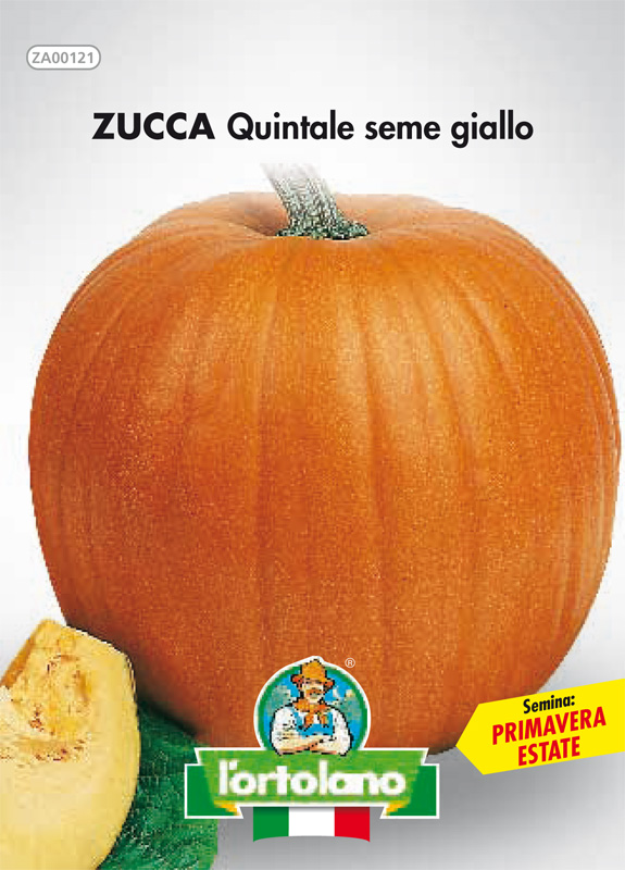 Immagine prodotto ZUCCA Quintale seme giallo