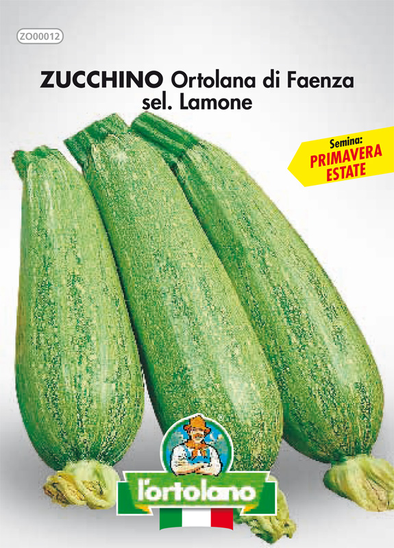 Immagine prodotto ZUCCHINO Ortolana di Faenza sel. Lamone