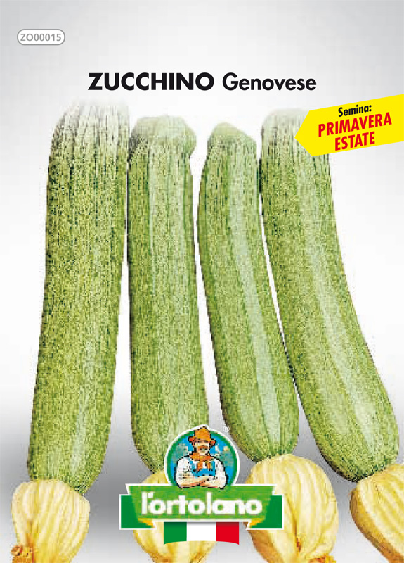 Immagine prodotto ZUCCHINO Genovese